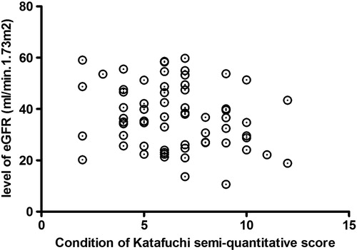 Figure 4. Relationship between eGFR level and the Katafuchi semiquantitative score.