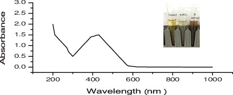 Figure 2. UV-visible spectra for silver nanoparticles (1 mM aqueous solution of AgNO3) synthesized by Bacillus aerius. The inset of the figure shows a test tube of the silver nanoparticle solution formed at the end of the reaction.