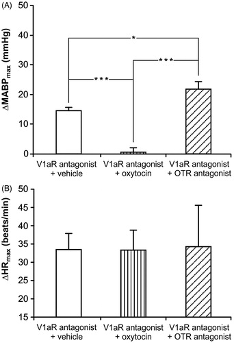 Figure 4. Maximum increases in mean arterial blood pressure (ΔMABPmax) (A) and heart rate (ΔHRmax) (B) from baseline after application of air-jet stress in WKY rats of Experiment 2 after pretreatment with vasopressin V1a receptor antagonist – V1aR antagonist and subsequently during ICV infusions of 0.9% NaCl (vehicle), oxytocin and oxytocin receptor antagonist (OTR antagonist). Means ±standard errors of mean are shown. ANOVA followed by Tukey test *p < 0.05, ***p < 0.001. V1aR antagonist + vehicle n = 6; V1aR antagonist + oxytocin n = 6; V1aR antagonist + OTR antagonist n = 6.