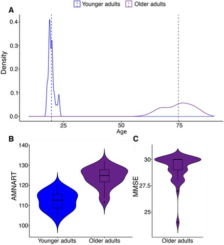 Figure 2. A density plot of the age distribution in our samples (a). Distributions of verbal skills (measured by AMNART) in young and older adults (b, Left) and a distribution of MMSE scores among older adults (b, Right).