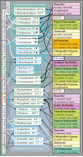 Figure 1. Data  variation of plankton variables (taxonomic and functional groups) as explained by independent predictors (biophysical, farm, and pesticide variables). The numbers indicate whether the tested variables are from the first (1) or from the second (2) survey. Inserted triangles indicate a significant change of the variables from the first to the second survey (as determined from paired T-tests or Mann–Whitney tests), where ▲ indicates significantly higher and ▼ lower levels at the respective sampling time; ◊ indicates no significant change. The significance levels of the changes are indicated by the darkness of the triangles, from ▲ (p < 0.0005), ▲ (p < 0.005), to ▲ (p < 0.05). The inserted numbers represent average organism counts per liter, respectively mass indices (xi; ~volume in mm3 per liter). The arrows indicate the predictor variables (at the start of the arrows) which were significant in the models in order to explain the dependent variables (at the end of the arrows). The arrows may or may not imply causality. White arrows represent positive and black arrows negative correlations. The thickness of the arrows indicates the significance level of the correlation from the thickest (p < 0.0005), medium (p < 0.005), to the thinnest (p < 0.05). ‘Farm type’ and ‘Province’ refer to ‘organic’ farms and ‘Ayutthaya Province’, respectively. Correlations among plankton variables (all positive) are indicated by light connecting lines with thicknesses corresponding to significances. I. = index; cumul. = cumulative; plankt. = plankton; H = height; D = density; N = nitrogen content; dist. = distance; Cyperm. = cypermethrin.