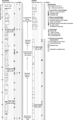 Figure 4  Stratigraphy and palaeoenvironmental interpretations of cores from south-eastern Wairarapa. See Fig. 3 for the stratigraphy legend and Fig. 2 for the core locations.