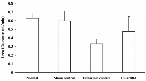 Figure 5. Effect of U-74500A on urea clearance in rats subjected to ischemia-reperfusion. *p<0.05 as compared to sham control group, **p<0.05 as compared to ischemic control group (One-way ANOVA followed by Dunnett's test).
