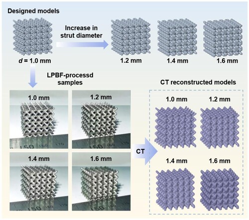 Figure 3. The designed models, LPBF-processed samples and CT reconstructed models of four lattice structures with different strut diameters.