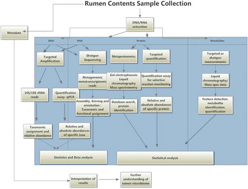 Figure 2. Rumen microbiome project workflow including options for metabolomics and metaproteomics (Figure adapted from Deusch et al. (2014)).