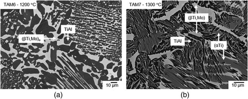 Figure 6. BSE image of (a) alloy TAM6 (Ti-45.0Al-2.5Mo) heat-treated at 1200 °C showing a two-phase microstructure composed of (βTi,Mo)o (bright) and TiAl (dark) and (b) alloy TAM7 (Ti-44.6Al-3.7Mo) showing a three-phase microstructure consisting of (αTi) (grey), (βTi,Mo) (bright), and TiAl (dark) after heat treatment at 1300 °C.