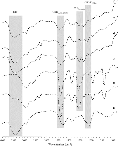 Figure 3. FTIR overlays of; (a) LSH, (b) ketoprofen, (c) ketoprofen loaded LSH-co-AA formulation (d) ketoprofen loaded LSH-co-MAA formulation, (e) LSH-co-AA and (f) LSH-co-MAA.