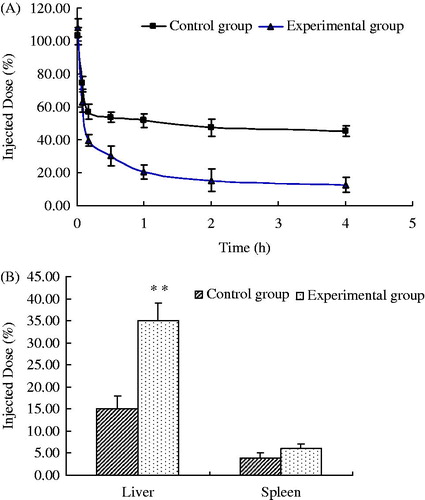 Figure 5. Blood clearance (0–4 h) (A) and biodistribution (4 h) (B) of calcein in rabbits after a second injection of PEGylated EPC liposomes (n = 6) (**p < 0.01).