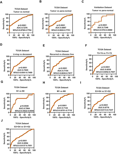 Figure 3 The diagnostic value of DNTTIP1 in ccRCC. (A) ROC curve of DNTTIP1 between tumor and non-cancerous normal tissues, the AUC: 0.7276 (p < 0.0001); (B) ROC curve of DNTTIP1 between tumor and paired non-cancerous normal tissues, the AUC: 0.6887 (p < 0.0001). (C) ROC curve of DNTTIP1 between tumor and non-cancerous normal tissues in clinical samples, the AUC: 0.7346 (p < 0.0001). (D–J) Subgroup ROC curve analysis implied that the high expression of DNTTIP1 might have diagnostic value for ccRCC patients with living vs deceased, recurred vs disease free, (T3 + T4) / (T1 + T2), N1 / N0 stage, M1 / M0 stage pathological stage, grade (III + IV)/ (I + II).