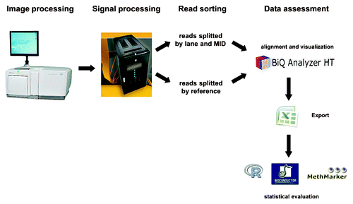 Figure 3. Schematic workflow of data evaluation. After generation of raw images data are processed by filtering reads that are either too short or could not be unambiguously sequenced (e.g., two different sequence reads per well). Processed reads are sorted by MID, sequencing lane and reference and uploaded into the BiQ Analyzer HT program.Citation5 DNA methylation patterns are assessed and visualized. Exported files serve as templates for R-based statistics or other further evaluation programs like MethMarker or Bioconductor software packages (www.bioconductor.org).Citation7