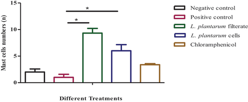 Figure 7. A bar graph (n=8 sections/group) displaying the overall percentages of mast cells in the skin of rats in all treatments. The data is shown as (means SEM); where*: significant where P≤0.05 significant difference among positive control and animals treated by L. plantarum filtrate and L. plantarum lyophilized cells respectively.
