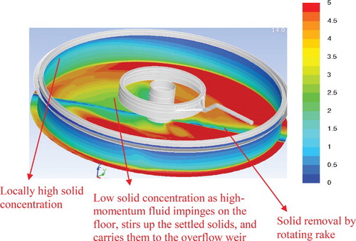 Figure 8. Contours of normalized solid concentration on the floor and on a radial plane through the overflow weir. The rake rotates and removes settled sludge from the floor.