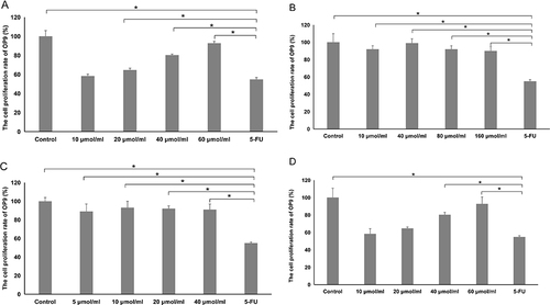 Figure 6 Proliferation activity of OP9 cells after treated with four active ingredient at different concentration. (A) Effects of calycosin-glucoside on the proliferation activity of OP9 Cells. (one-way ANOVA. Compared with the 5-FU group, the p-values of the control, 10μmol/mL, 20μmol/mL, 40μmol/mL and 60μmol/mL groups were 0.000064, 0.939, 0.001, 0.00008 and 0.000375, respectively). (B) Effects of albiflorin on the proliferation activity of OP9 Cells. (one-way ANOVA. Compared with the 5-FU group, the p-values of the control, 10μmol/mL, 40μmol/mL, 80μmol/mL and 160μmol/mL groups were 0.000001, 0.00005, 0.000001, 0.000076 and 0.000225, respectively). (C) Effects of paeoniflorin on the proliferation activity of OP9 Cells. (Welch ANOVA. Compared with the 5-FU group, the p-values of the control, 5μmol/mL, 10μmol/mL, 20μmol/mL and 40μmol/mL groups were 0.000028, 0.011, 0.003, 0.000018 and 0.000267, respectively). (D) Effects of ferulic acid on the proliferation activity of OP9 Cells. (Welch ANOVA. Compared with the 5-FU group, the p-values of the control, 10μmol/mL, 20μmol/mL, 40μmol/mL and 60μmol/mL groups were 0.002, 0.835, 0.058, 0.000005 and 0.001, respectively). (A–D) All data are shown as mean ± SD, n = 6 per group. *p < 0.05.