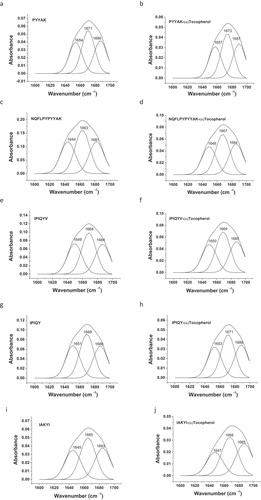 Figure 8. Second derivative and curve-fitting analysis of secondary structure of milk oligopeptide and milk oligopeptide-(α)-tocopherol complex using PeakFit 4.12 software