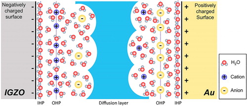 Figure 5. Electrical properties of IGZO electrolyte-gated thin-film transistors for water and salt solutions as dielectric media [Citation34].