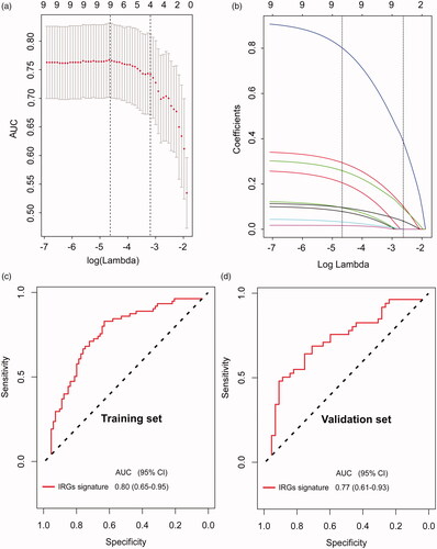 Figure 4. Development and evaluation of an immune-related genes (IRGs) signature. (a) Five optimal IRGs were selected based on LASSO algorithms in the training set. (b)LASSO coefficient profiles of the five ALN-status-related IRGs based on the training set data. Plots (c) and (d) show the ROC curves of the IRGs signature in the training and validation cohort, respectively.