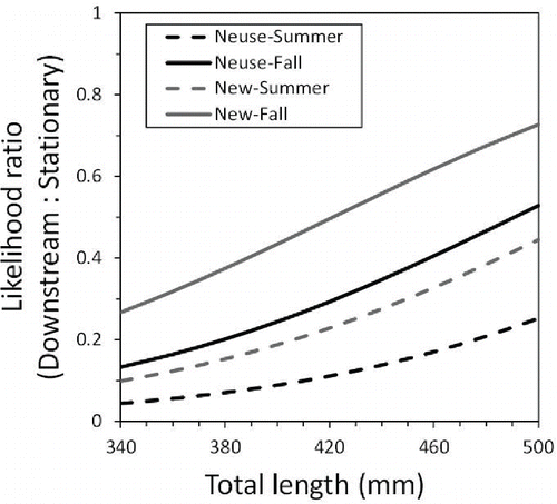 FIGURE 3. Multinomial logistic regression model predictions of the probability ratio of recovering tagged Southern Flounder after downstream movement within the Neuse and New River system (2005–2006). Probability ratios compare the probability of moving downstream to the probability of remaining stationary. Model predictions of upstream movement are not shown because upstream movement parameters were not significant (see Table 3).