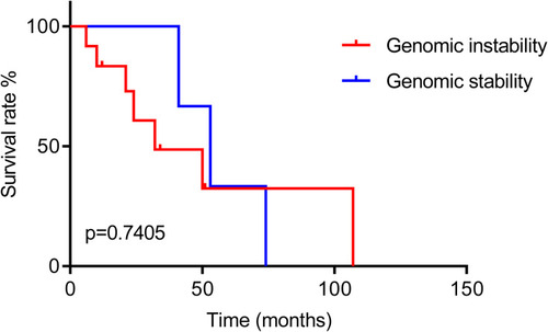 Figure 5 Overall survival analysis between meningeal metastasis patients with genomic instability and genomic stability.