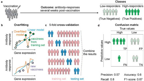 Box. Glossary of common Machine Learning jargons applied to Systems Vaccinology.