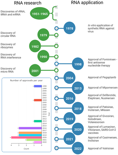 Figure 1. Timeline of RNA research and its therapeutic applications (not to time scale). In the insert showed number of approved oligonucleotide drugs per year (1998–2022).