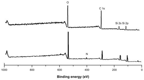 Figure 5 X-ray photoelectron spectroscopy analysis of silica-coated cadmium sulfide (CdS) quantum dots (top) and CD31 antibody-labeled silica-coated CdS QDs (bottom spectrum).