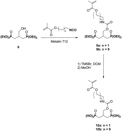 Scheme 3 Synthesis of the acidic monomers 10a and 10b.