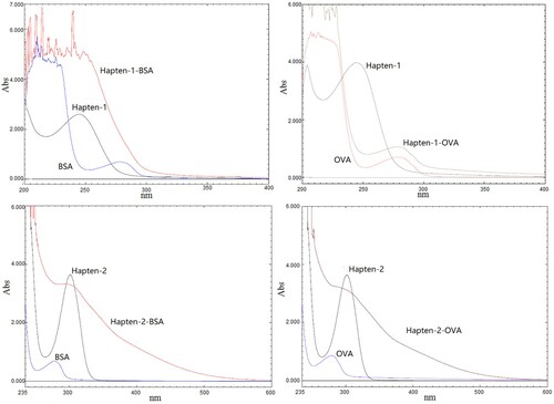 Figure 3. UV spectra of haptens, carrier proteins and conjugates.