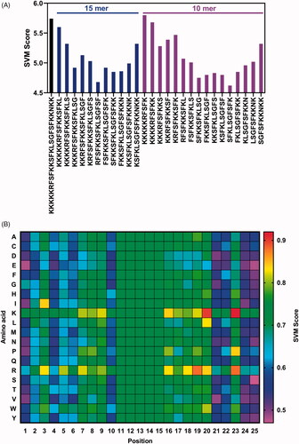 Figure 2. Core motif identification of peptide P1. (A) Penetration property prediction of peptide P1 with 15-mer and 10-mer truncation analysis. (B) The heatmap (SVM score) representing penetration property of peptide P1 with single mutation predicted by CellPPD.