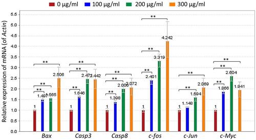 Figure 4 Relative mRNA expression of TF-targeted genes in B16F10 cells. Data were shown as mean ± SD. **P < 0.01 vs NC.