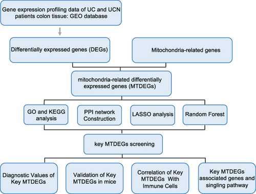 Figure 1 Flow chart of the study.