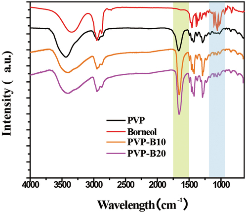 Figure 2. FT-IR spectrum of PVP, borneol, PVP-B10, and PVP-B20.