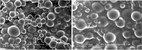 Figure 5 Scanning electron micrographs of protein dextran recovered from microspheres. (A) W1, 5% w/w BSA and dextran (BSA to dextran ratio 6 mg:6 mg) water solution; Oh, DEG/G = 4 (5.5 mL containing 0.5 mL of 1% PVA and 5% NaCl); W2, 5% NaCl 1000 mL; oil phase 10%; PLGA (3A50/50)/LPLA = 40/80, 1200 mg of dichloromethane solvent. (B) W1, 5% w/w BSA and dextran (BSA to dextran ratio 6 mg:6 mg) water solution; Oh, PG/G = 4 (5.5 mL containing 0.5 mL of 1% PVA and 5% NaCl); W2, 5% NaCl 1000 mL, oil phase 10%; PLGA (3A50/50)/LPLA = 40/80, 1200 mg of dichloromethane solvent.Abbreviations: BSA, bovine serum albumin; PLGA, poly(lactic-co-glycolic acid); LPLA, low viscosity polylactide (molecular weight 60,000); PVA, poly(vinyl alcohol); PG/G, 1, 2-propylene glycol/glycerol; Oh, hydrophilic oil; DEG/G, ethylene glycol/glycerol; NaCl, sodium chloride; W1, 1% PVA and 5% NaCl water solution; W2, 5% NaCl water solution; w/w, trehalose 1%.