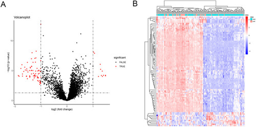 Figure 1 Identification of DEGs in COPD and normal lung tissues. (A) Volcano plot of all DEGs. (B) Heatmap of all DEGs.