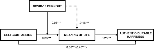 Figure 2 Moderated mediation model.