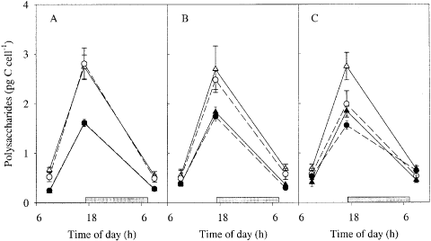 Fig. 4. Diel variations in water-extractable polysaccharide content of Chaetoceros brevis cells under various conditions after 0 (A), 3 (B) and 5 (C) days from the start of the experiment. Symbols and lines as in Fig. 2.