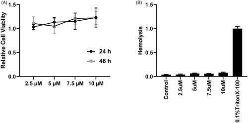 Figure 6. Cytotoxicity and hemolysis evaluation. (A) MTT assay of peptide P1 incubation in HSC-T6 cells with indicated concentration at 24 or 48h. (B) Murine red blood cell hemolysis of peptide P1 with indicated concentration. Values represent mean ± SEM. ANOVA was used to compare the differences between the control and experimental values, **** indicated p < .0001.