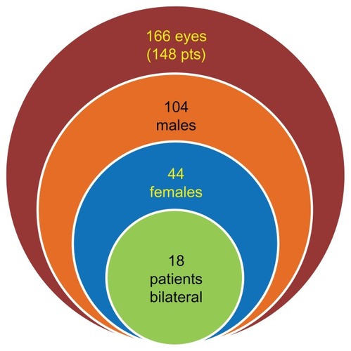 Figure 1 Patient demographics of children who presented with rhegmatogenous retinal detachment.