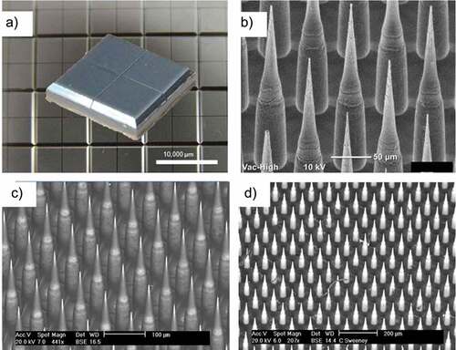 Figure 6. Overview of the NanopatchTM microarray patch for ID delivery of vaccines. (a) 10 mm x10 mm patch after manufacture. (b) closer look at the 250 µm needles prior to coating. (c) needles after coating with drug product where dark areas are coated and lighter areas are uncoated. (d) patch after application to rhesus monkey. Figure from Meyer et al., 2019Citation128 with permission from Elsevier.