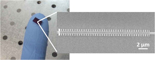 Figure 1. Very small integrated nanophotonic chips can comprise hundreds of sensing structures. A scanning electron microscope image of one of the photonic sensing structures fabricated in our group having a footprint of only 30 μm2 is depicted