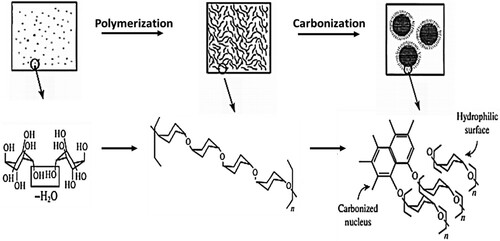 Figure 2. Diagram of the hydrothermal carbonization of glucose (Reproduced from reference (Citation7) with permission from Springer).