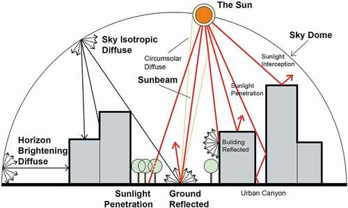 Figure 14. Mechanisms of outdoor illumination in cities: daylight and solar radiation patterns within urban canyons (source: drawn by authors, based on field observation and literature review of Miguet and Groleau Citation2002; Kotzen Citation2003; Tregenza and Wilson Citation2011; Douglas and James Citation2015; Giridharan Citation2016).