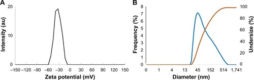 Figure 3 Dynamic light-scattering analysis of AgNPs indicating: (A) zeta potential and (B) mean diameter of the particles.Abbreviation: AgNPs, silver nanoparticles.