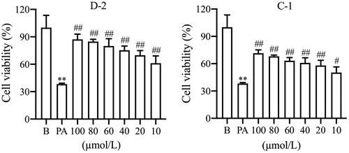 Figure 1. The anti-apoptosis activity with different concentrations of compounds D-2 and C-1. Min6 β cells were incubated with different concentrations of D-2 and C-1 and then exposed to PA (300 μmol/L) for 24 h. **p < 0.01 vs control cells; #p < 0.05, ##p < 0.01 vs PA-treated cells. Data were presented as mean ± SD (n = 5).