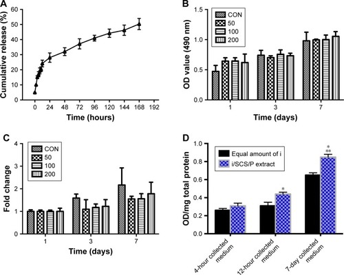 Figure 5 Bioactive release of irisin from i/SCS/P scaffold.Notes: (A) Release kinetics of irisin from i/SCS/P. Effect of different concentrations of irisin on BMSCs proliferation was detected by CCK-8 and analyzed in OD values (B) and fold changes (C) compared to the corresponding control group. At each scheduled time, BMSCs cultured in standard medium without irisin were taken as control. (D) ALP activity assay. The i/SCS/P scaffold was immersed in culture medium for 4 hours, 12 hours, and 7 days, respectively. The extracts at different times were used to culture BMSCs for 3 days and then treated with ALP activity assay. Culture medium with a same concentration of irisin, corresponding to what was calculated in the extract, was used as positive control. *P<0.05, compared with the corresponding positive control group. **P<0.05, compared with the 4 hours and 12 hours collected medium. (E) ALP staining at 7 days and (F) ARS staining at 28 days. BMSCs were cultured with the different extracts of i/SCS/P. BMSCs cultured with the extracts of SCS/P scaffolds were used as control. Lower magnification images (scale bar: 1 mm) are shown in the upper panel. The region of interest is selected by a red or yellow box and magnified with higher magnification (scale bar: 500 µm) in the lower panel.Abbreviations: CON, control; I, irisin; i/SCS/P, irisin-loaded silk/calcium silicate/sodium alginate/PVA; BMSCs, bone marrow stem cells; CCK-8, cell counting kit-8; ALP, alkaline phosphatase; ARS, alizarin red S; SCS/P, silk/calcium silicate/sodium alginate/PVA.