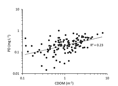 Fig. 4. The relationship between the photo decay in absolute values and the CDOM of subarctic lakes near Abisko, northern Sweden (n = 146).