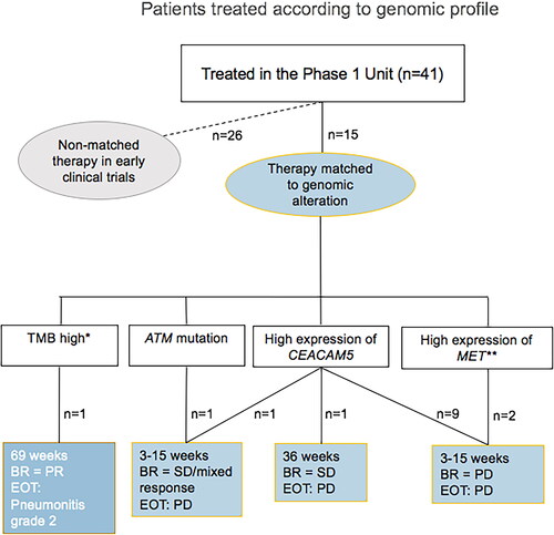 Figure 4. Patients treated according to genomic profile. *The patient received pembrolizumab based on high tumor mutation burden (TMB high). **Considered an actionable target at time of treatment. BR: best response according to RECIST 1.1; SD: stable disease; PR: partial response; PD: progressive disease; EOT: reason for end of treatment.