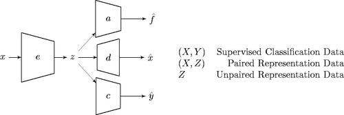 Figure 2. An encoder maps input, x, into representation, z. From z, an adversary, a, predicts whether the representation was fake or real, a classifier, c, estimates a classification ŷ, and decoder, d, creates a reconstruction x̂ of the original input. Classification, paired, and unpaired data may be used in training. (X, Y) Supervised Classification Data. (X, Z) Paired Representation Data. (Z) Unpaired Representation Data.