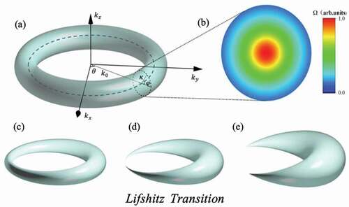 Figure 6. (a) Schematic diagram of the torus-shaped Fermi surface in nodal-line semimetal, the major radius is k0, minor radius is κ, the toroidal angle and poloidal angle are θ,ϕ, respectively. (b) Finite berry curvature distribution in the poloidal cross section. (c-e) The deformation process of the Fermi surface induced by the increasing external magnetic field [Citation97].