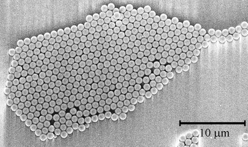 Figure 2. FESEM image of an array of close-packed one-micron polystyrene nanospheres formed by spin-coating the nanosphere solution onto a SiO2 substrate. Scale bar = 10 µm.