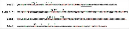 FIGURE 1. Sequences of the four PrLDs that were mutated to create prion activity. Predicted prion-promoting residues are indicated in green, while prion-inhibiting residues are indicated in red. Mutations made to create prion activity are indicated above each sequence. For Puf4, the four regions for which tandem repeats were generated are underlined. For Yck1, only the first 90 amino acids of the 117 amino acid PrLD are shown.